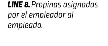 LINE 8. Propinas asignadas por el empleador al empleado. CONCEPTOS VARIOS