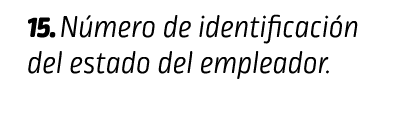 15. Número de identificación del estado del empleador. INFORMACIÓN DEL EMPLEADOR