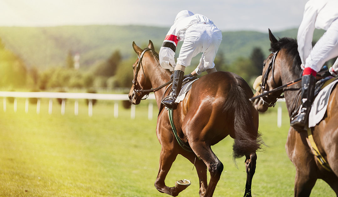 Kentucky Derby Betting Winnings Syndicates H R Block Newsroom