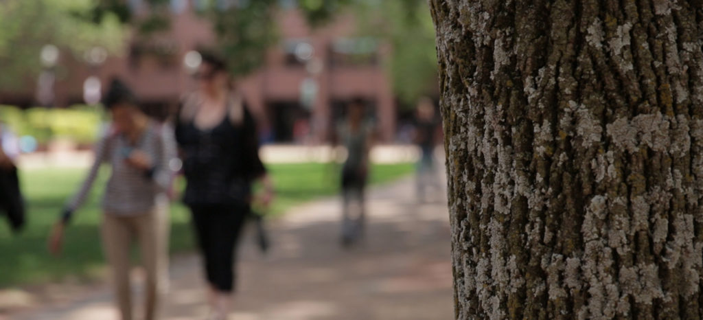 abstract image of college students on campus